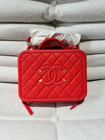 Chanel Litchi Peel Camera Bag Handbag